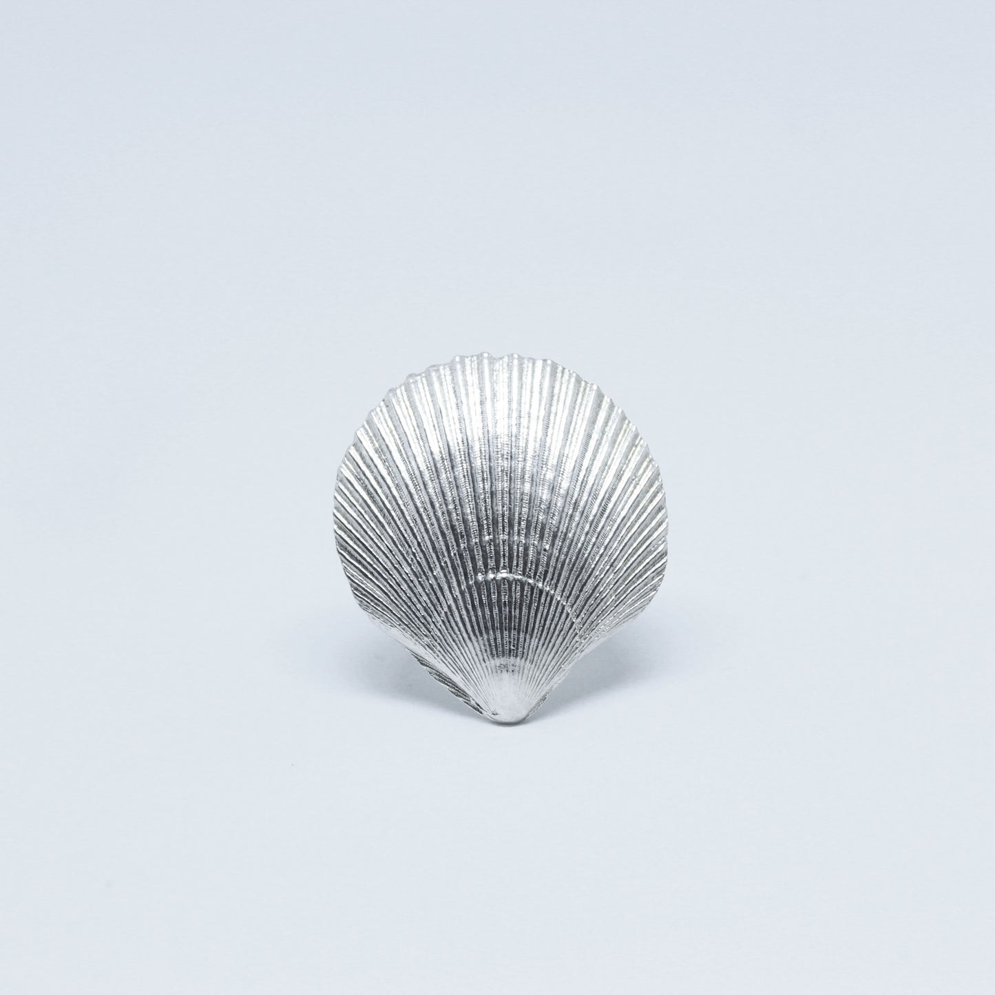 Anillo Shell Ostión Ajustable