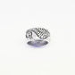 Anillo Hipocampo