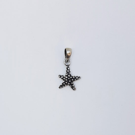 Estrella de mar puntitos